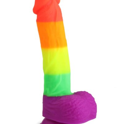 8.1 Inch Realistic Rainbow Dildo with Strong Suction Cap Base for Hands-Free Play, Ultra-Soft and Flexible Cock for G Spot Anal Play Adult Sex Toys for Women and Men and Couples (Rainbow)